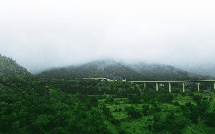 World Environment Day